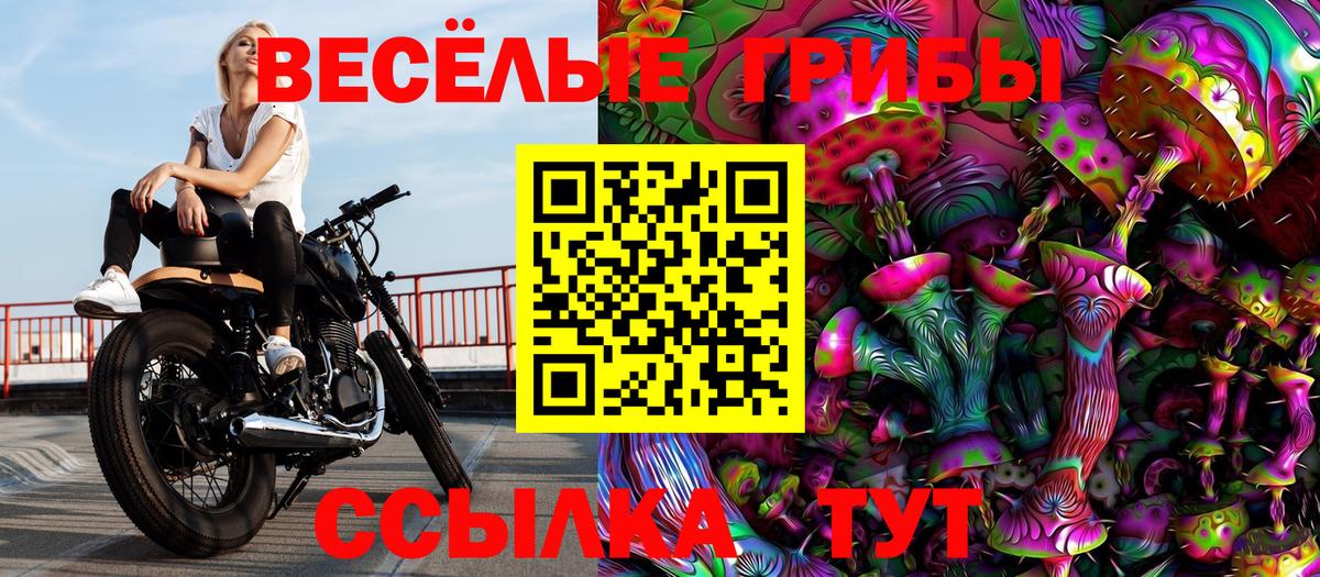 Галлюциногенные грибы прущие грибы Зеленодольск