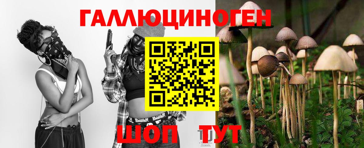 Псилоцибиновые грибы Psilocybine cubensis  Вход с VPN  Зеленодольск 